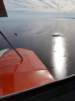 20220629_081427.jpg (7836506 bytes)